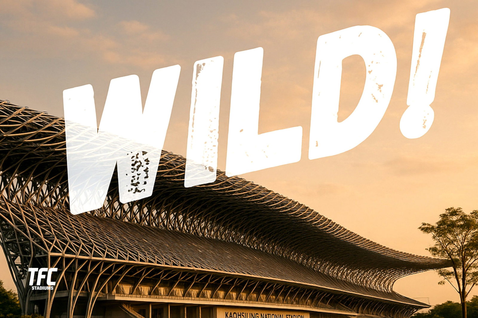 Unique Stadium Designs