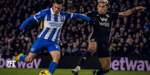 Brighton vs Fulham at the Amex