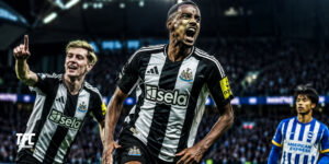 Brighton vs Newcastle at the Amex